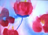 1-Anna's Flowers