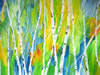 Birch-crossing